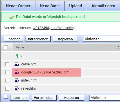 Google Search Console - neue Domain hinzufügen, Bild 8