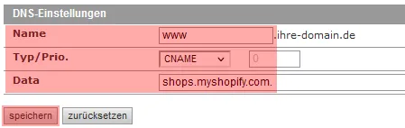 DNS-Werkzeuge - Domain mit Shopify verbinden, Bild 4