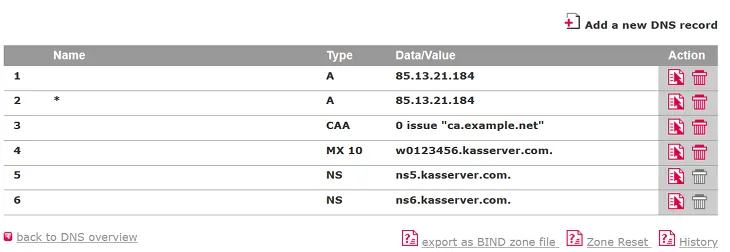 DNS - How to add a CAA-record, Bild 3