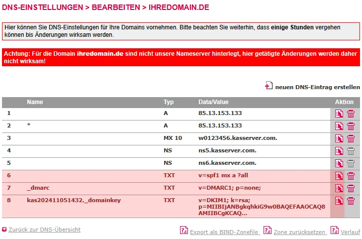 DNS-Werkzeuge - Nameserver ändern für Domain, Bild 8