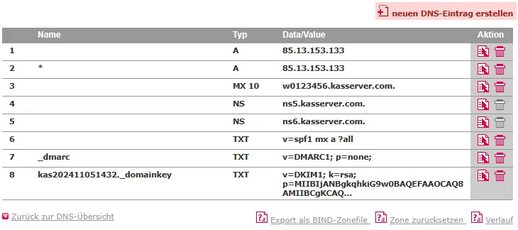 DNS-Werkzeuge - Nameserver ändern für Subdomain, Bild 1