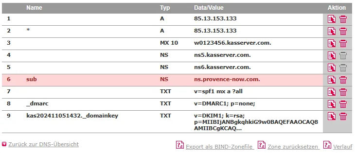 DNS-Werkzeuge - Nameserver ändern für Subdomain, Bild 3